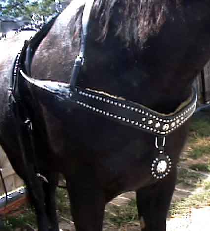 HA11 - Show Harness